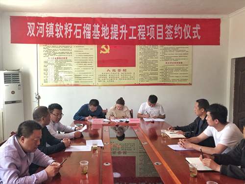 永利yl8886官方网站签约旬阳县双河镇软籽石榴种植基地提升工程项目